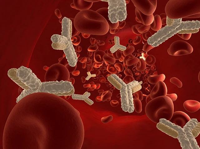 Sleep and Your Immune System