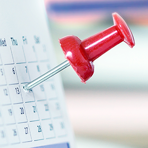 Replacement Schedule