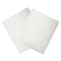 Fisher &amp; Paykel SleepStyle Filters - 2 Pack