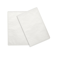 Lowenstein PrismaLINE Pollen Free (Hypoallergenic) Filters - Pack of 12